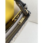 FENDI leather handbag model number: 225